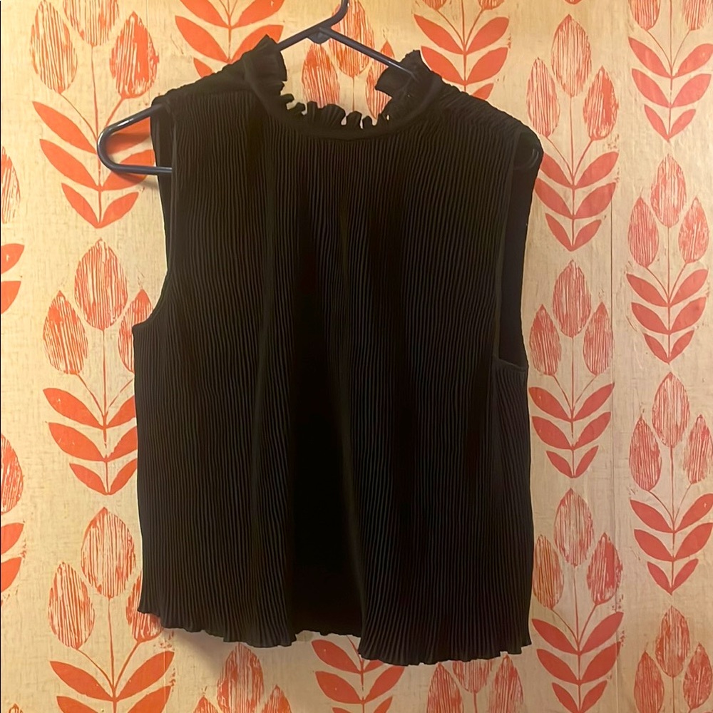 Pleated Rachel Zoe ruffled necked blouse! Size L